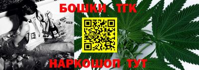 крисы Шахты