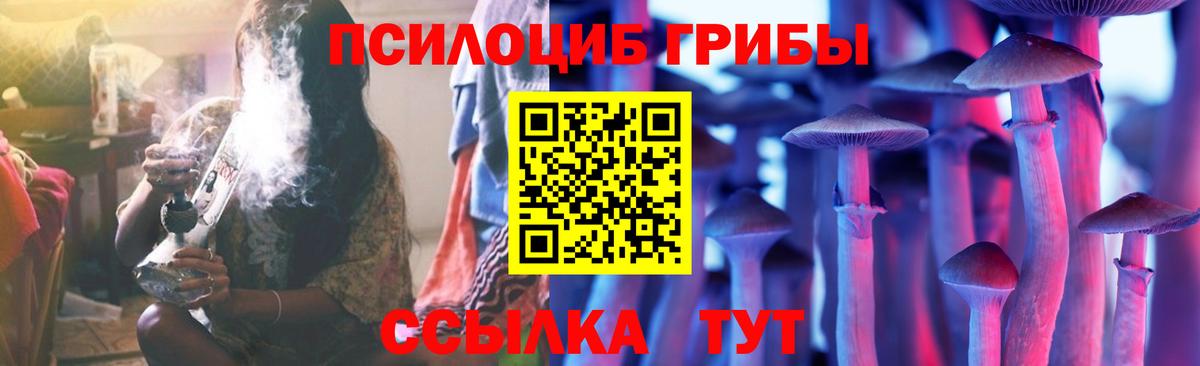 Псилоцибиновые грибы GOLDEN TEACHER Бийск