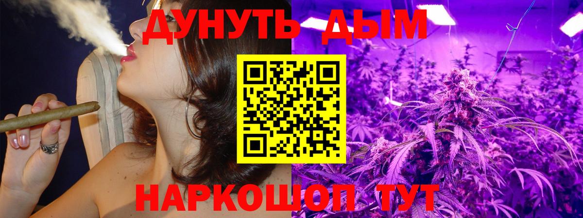 Конопля конопля Бийск